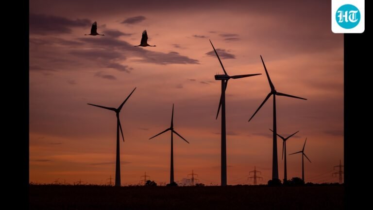 Aeroecology: Studying Skies as Crucial Habitats for Flying Animals