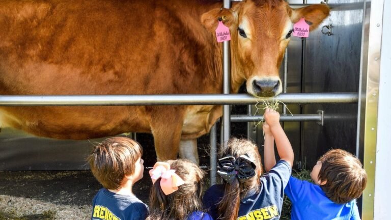 16 Free Fun Events in Southern California February 2026 16 Free Fun Events in Southern California February 2026