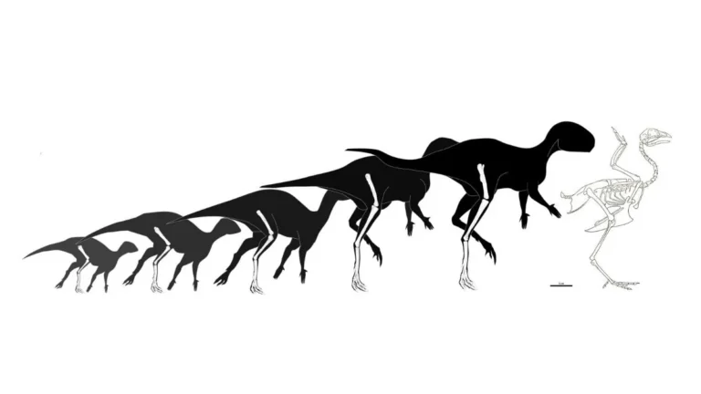 Miniature Dinosaur Discovery Rewrites Evolutionary History