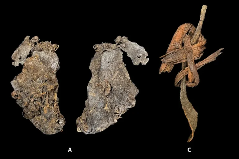 12,000-Year-Old Sewn Hides Found in Oregon Cave: Oldest Known Clothing