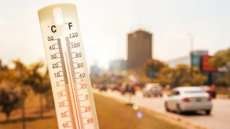 Kolkata Weather Forecast: Winter Easing with Cool Mornings Ahead Kolkata Weather Forecast: Winter Easing with Cool Mornings Ahead