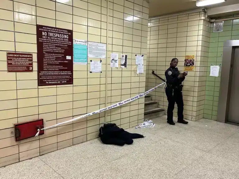 13-Year-Old Arrested in Brooklyn NYCHA Shooting of Peer 13-Year-Old Arrested in Brooklyn NYCHA Shooting of Peer