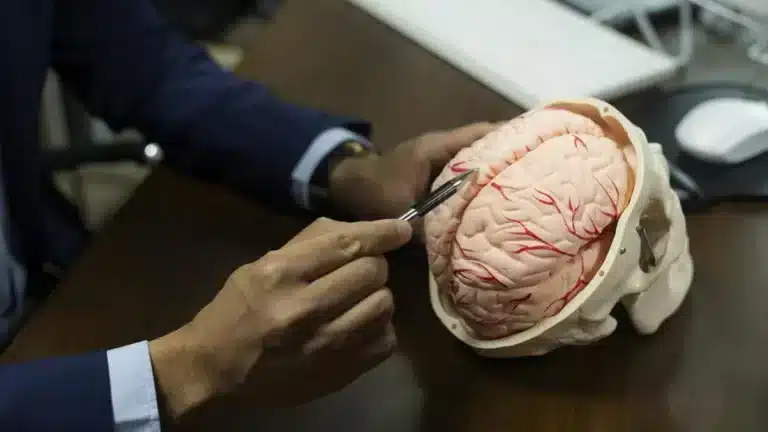 Brain White Matter Threshold Reveals Aging Trajectory Risks Brain White Matter Threshold Reveals Aging Trajectory Risks