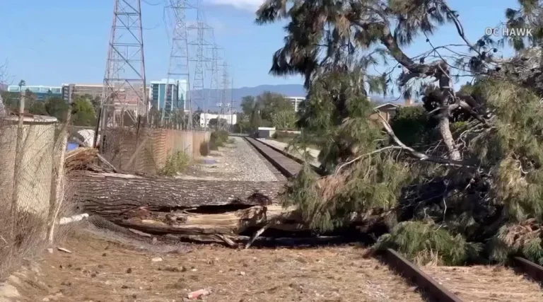 Santa Ana Winds Spark Laurel Canyon Fire, Tree on Anaheim Tracks