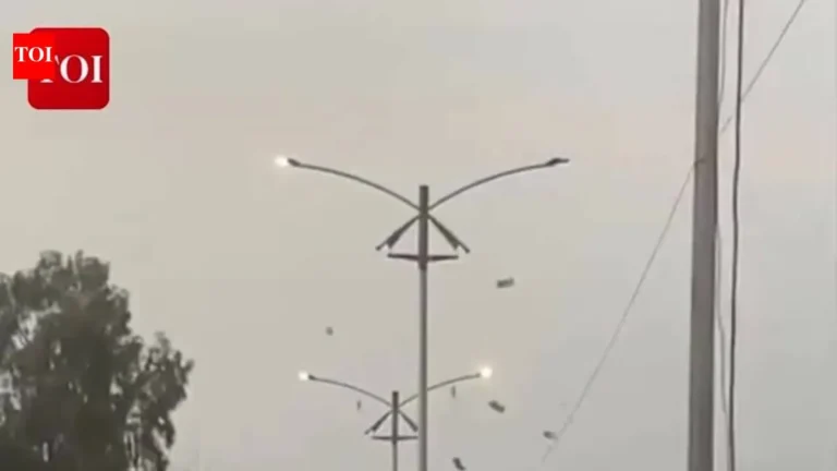 Bathinda Wedding: Fake Notes Showered from Jeep in Viral Stunt