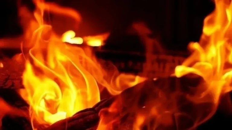 Thiruvananthapuram Medical College ICU Fire: Patients Safe