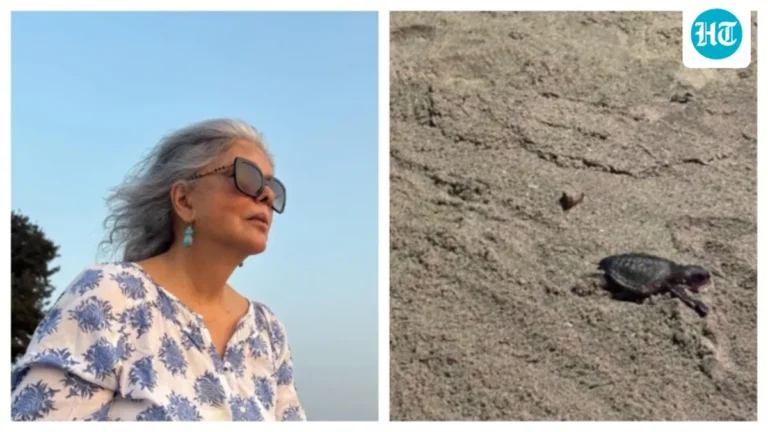 Zeenat Aman Tearful Over Goa Turtle Hatchlings, Urges CM Protection